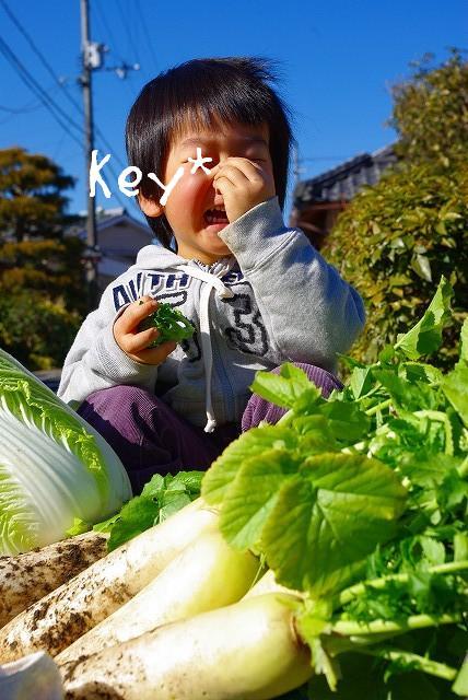 mama*kitchen★