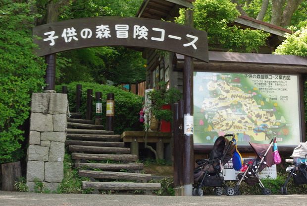 IMGP2407