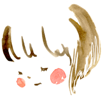 e01252db.gif