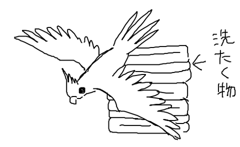 kankon-1549598990-951-490x300