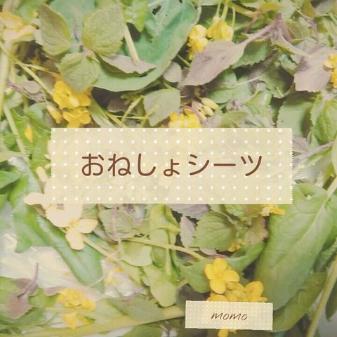 赤ちゃんのミルク吐き戻しや おむつ漏れに便利 おねしょシート Baby Mamanavi 子育てママ パパの為のベビー用品完全ガイド