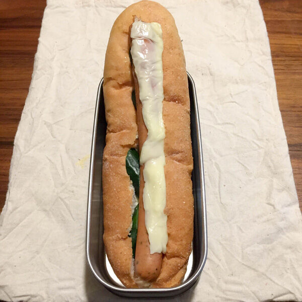 hotdog_t
