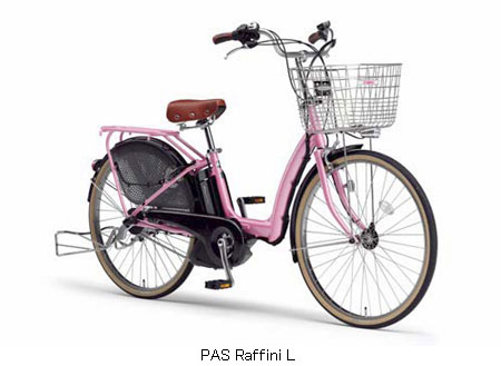 pas_rl