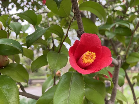 025