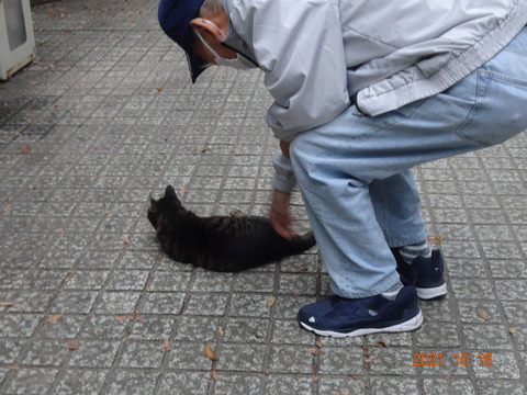 DSC02986