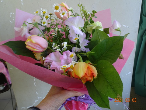 DSC09311