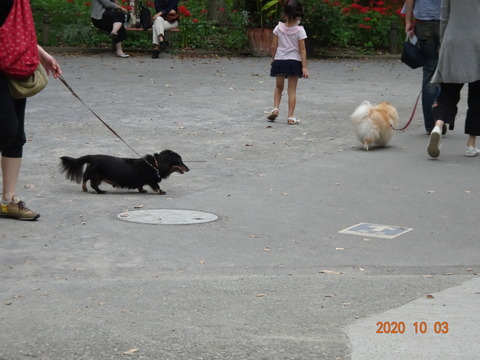 DSC04439