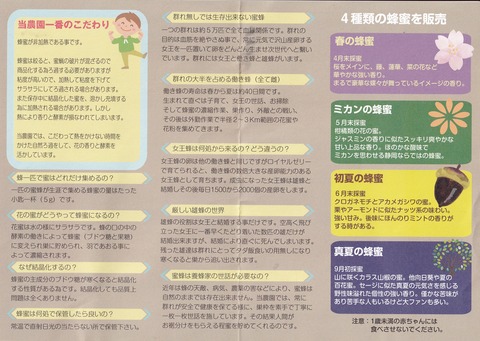 裏面