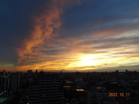DSC09618