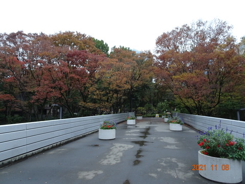 DSC03663
