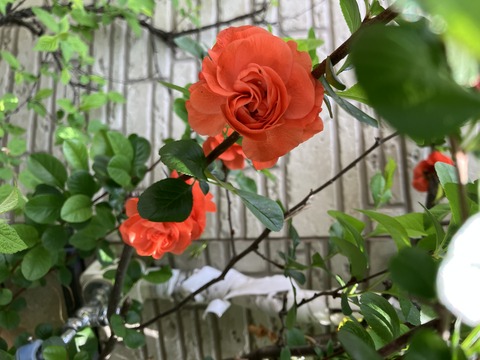 013
