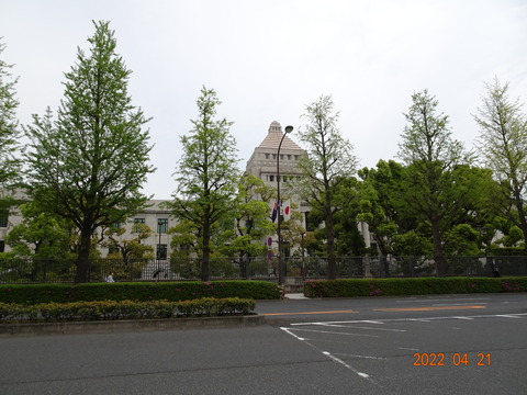 DSC08508