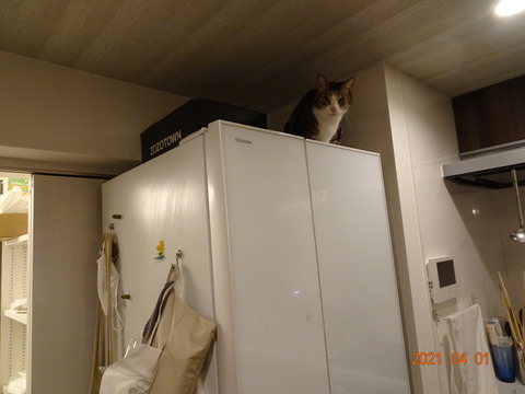 DSC00278