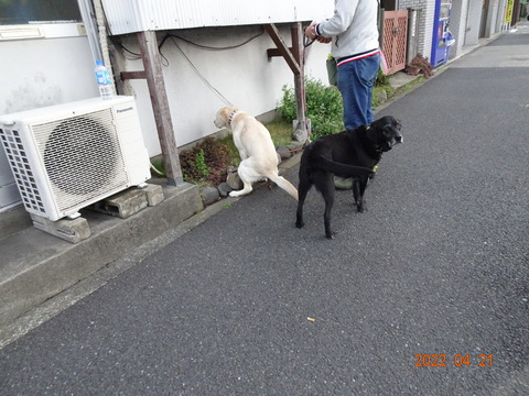 DSC08496
