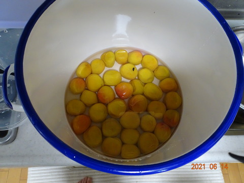 DSC09579