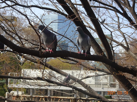 DSC09801