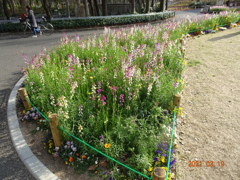 DSC09848