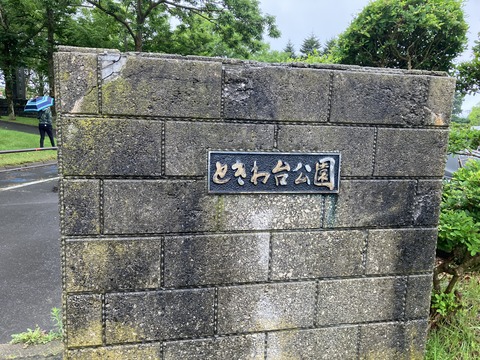 080