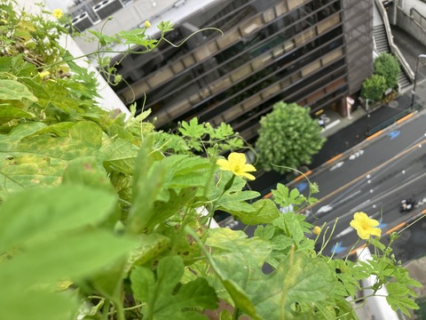 009
