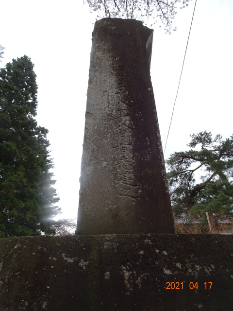 DSC00651