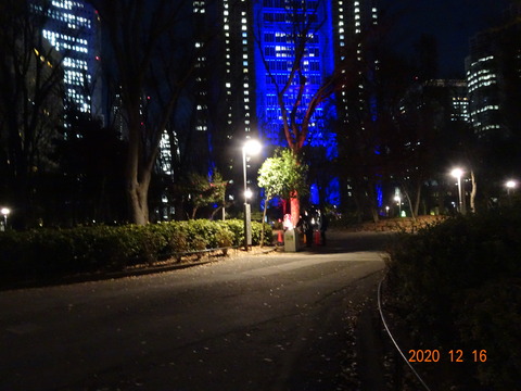 DSC07216