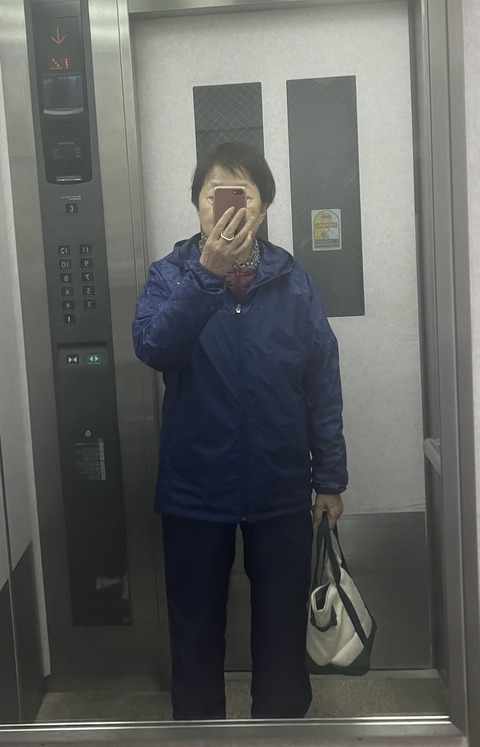 朝