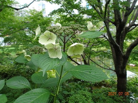 DSC09951