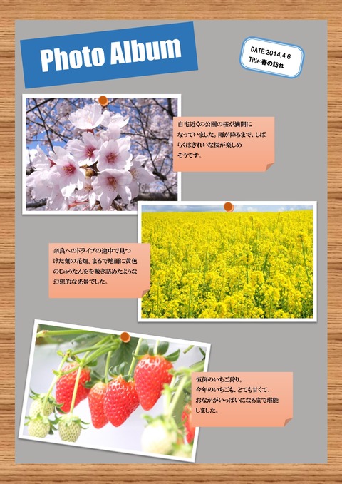 コメント付きフォトアルバム_page-0001 (1)