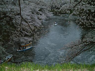 430_picture