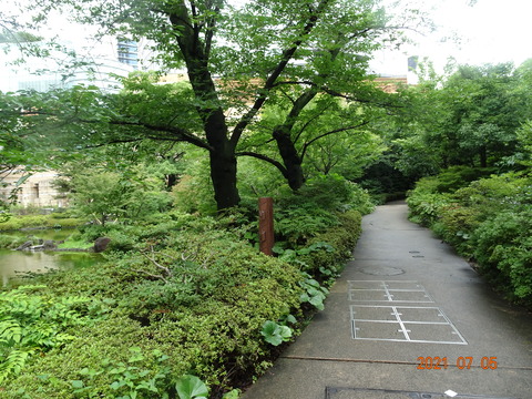DSC09946