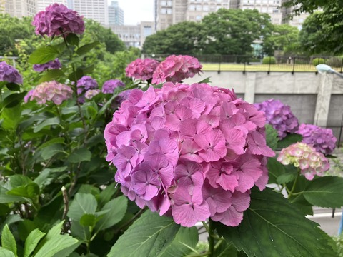 026
