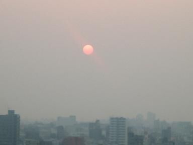 285_picture