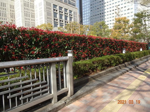 DSC09809