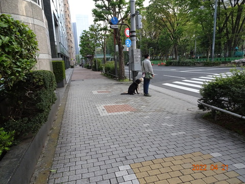 DSC08498