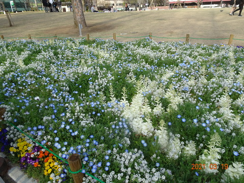 DSC09838