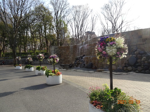 DSC09852
