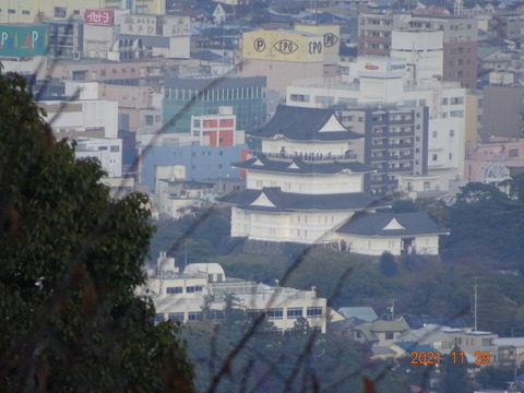 DSC04594
