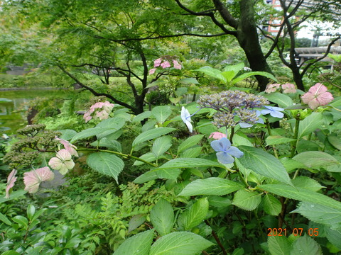 DSC09953