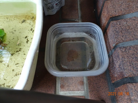 DSC01439