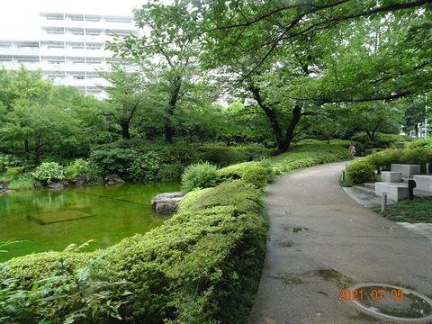 DSC09944