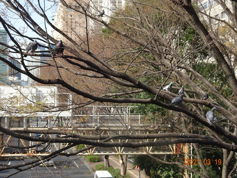 DSC09799