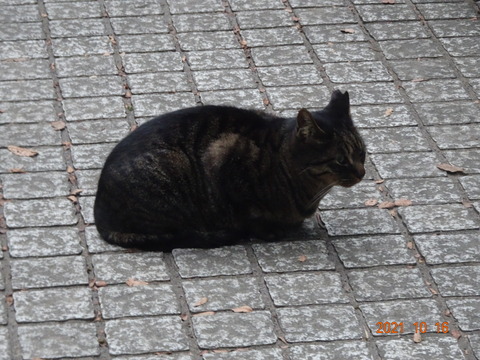 DSC02984