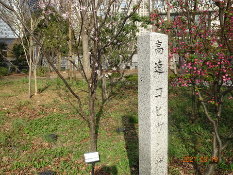 DSC09861