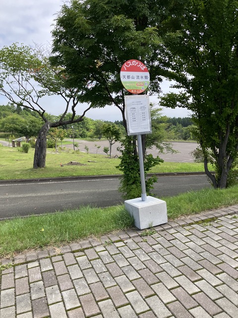 381