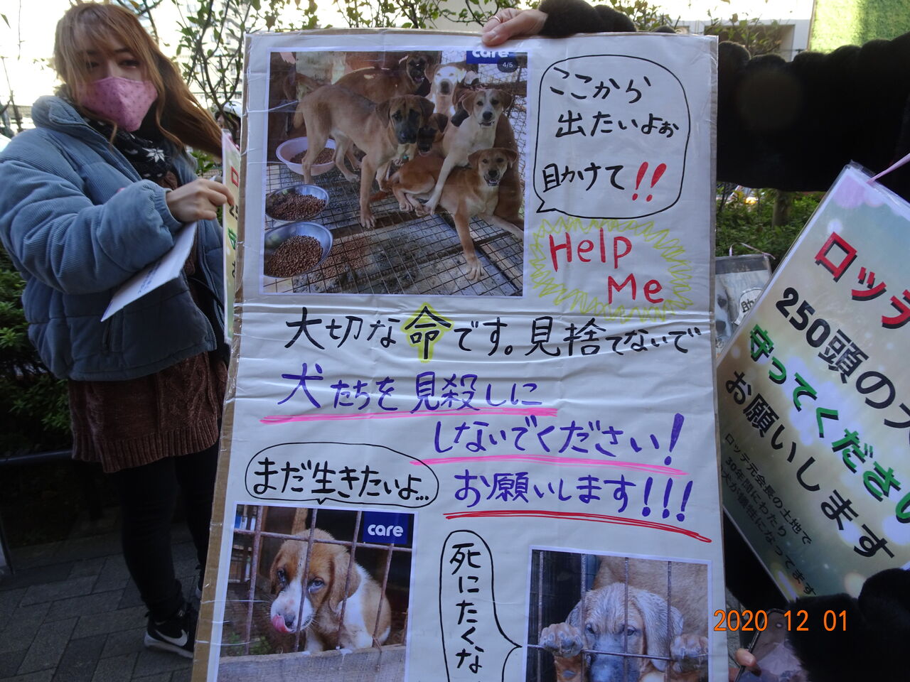おてんば歳 日々録 韓国の犬肉食にロッテも関与していると おてんば歳 日々録 韓国の犬肉食にロッテも関与していると