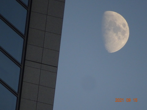 DSC02248