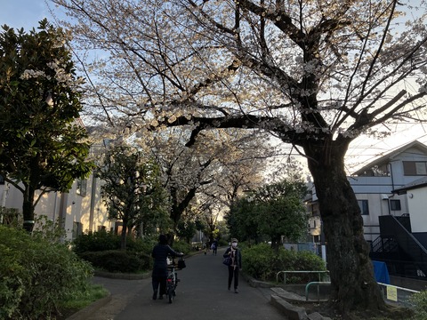 030
