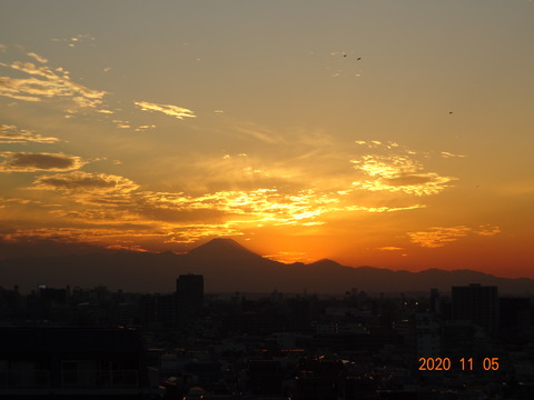 DSC05404