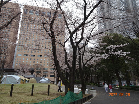 DSC07859