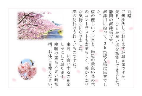 ハガキ②河津桜_page-0001